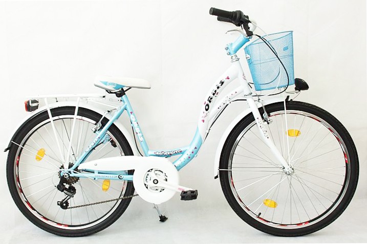 schnell 29 inch cycle