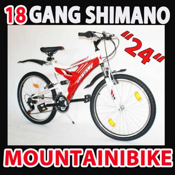 24 ZOLL MOUNTAINBIKE JUGENDFAHRRAD FAHRRAD KINDERFAHRRAD SHIMANO 18